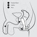 A straightforward black and white anatomical diagram of the male pelvic region, depicting the positions of the prostate gland (marked as 1), urethra (marked as 2), and anus (marked as 3). Directional arrows illustrate fluid flow, which is crucial for comprehending how to use the Aneros Eupho Trident Hands-Free Prostate Stimulator by Aneros effectively.