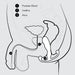 A black-and-white anatomical illustration of the male reproductive system viewed from the side features labeled parts including the prostate gland (1), urethra (2), and anus (3). The diagram is designed with Multi-Axial Motion Architecture, showcasing their positions relative to each other and surrounding structures. This design is embodied in the Aneros MGX Trident Hands-Free Prostate Stimulator by Aneros.