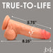 A vanilla-colored Jock Real Skin 8 Inch Silicone Suction Cup Dildo with Balls by XR Brands is displayed against a gray background. The words "TRUE-TO-LIFE" are featured at the top, and the object has dimensions labeled: 8.25 inches total length, 5.75 inches insertable length, and 6.2 inches girth. The product logo "Jock" appears at the bottom right, emphasizing its dual density for an exceptionally lifelike experience.