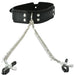 Vegan Leather Collar with Nipple Clamps by Sportsheets