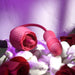 The Wild Rose Licking Tongue and Thrusting Bullet Vibrator from Evolved Novelties rests on white stones amid scattered red rose petals. Set against a soft purple background, this pink, rosebud-shaped intimate toy creates a romantic and sensual atmosphere. The vibrator’s soft texture and detailed design are prominently displayed, promising delightful sensations.